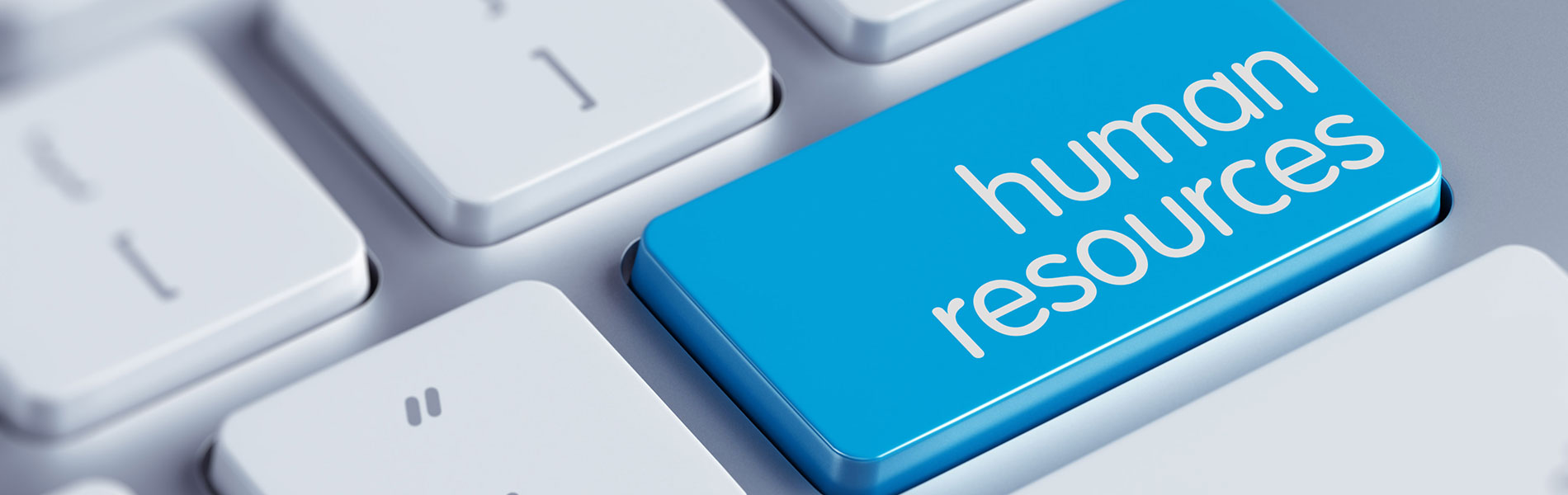 HR Consultancy by Saurashtra Solutions